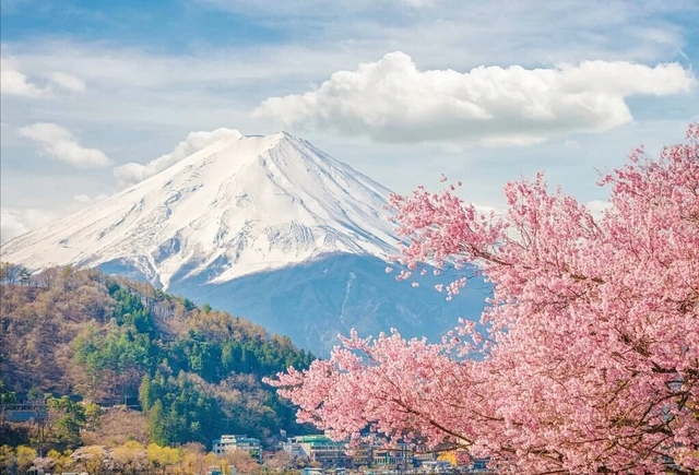 日本著名的景点有这些，去日本旅游时一定不要错过！